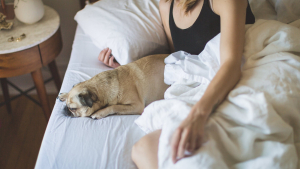 Illustration : According to this study, women sleep better when they curl up next to a dog